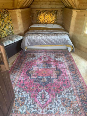 The Cabin with the View